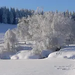 Wiesengrund By Interhome Apartman Neuhaus am Rennweg