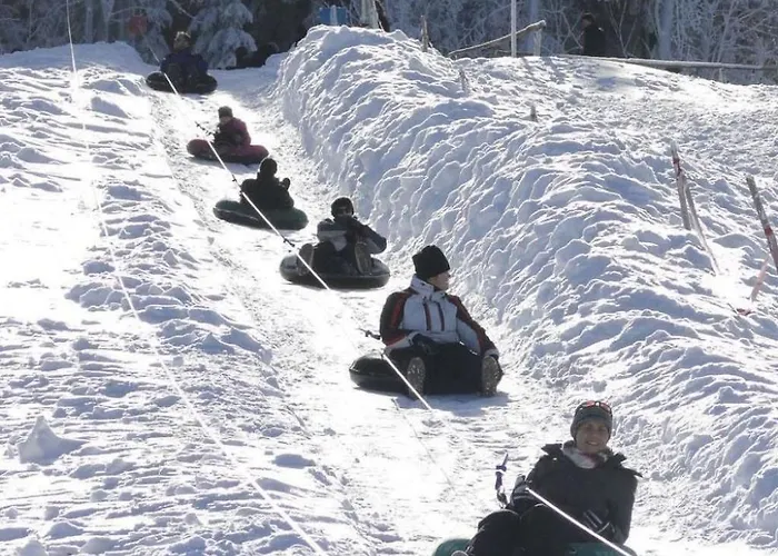 Appartement Wiesengrund By Interhome