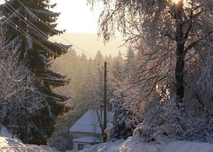 Appartement Wiesengrund By Interhome Neuhaus am Rennweg