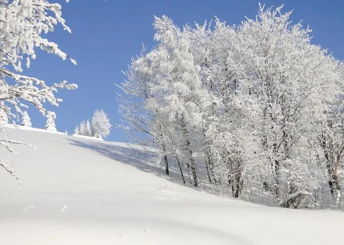 Appartement Wiesengrund By Interhome