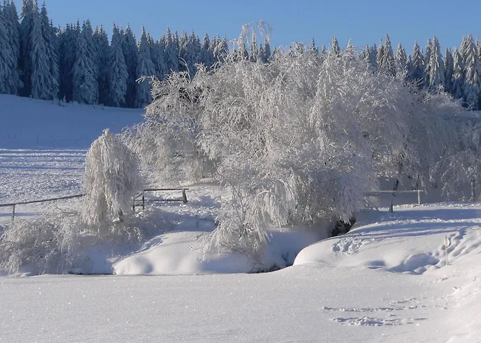 Wiesengrund By Interhome Appartement Neuhaus am Rennweg